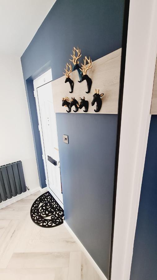 Beautiful 2Bed House With Garden, Walking Distance To Town - Free Parking Apartman Glasgow Kültér fotó
